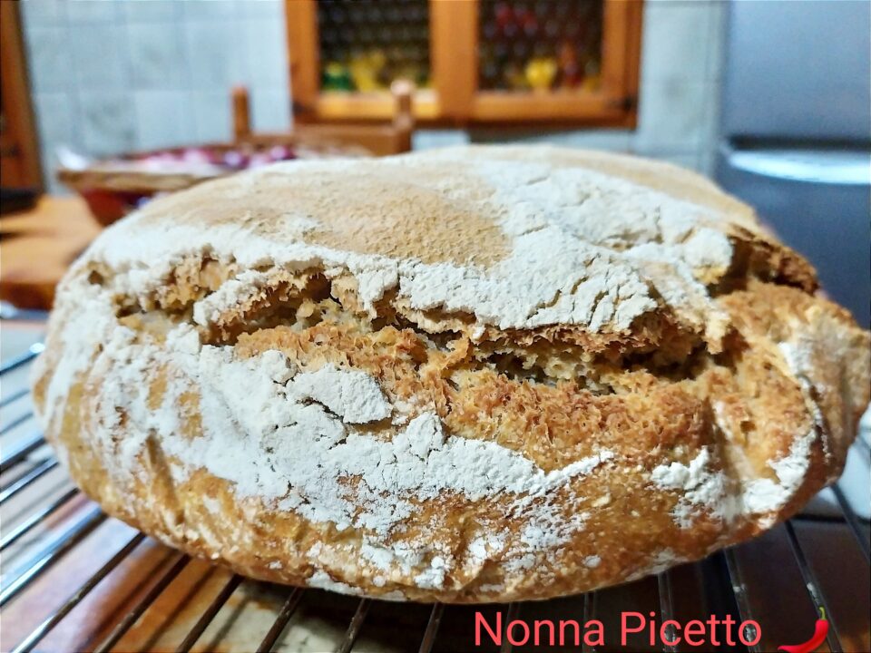 Pane fatto in casa con lievito madre croccante senza planetaria ricetta della nonna
