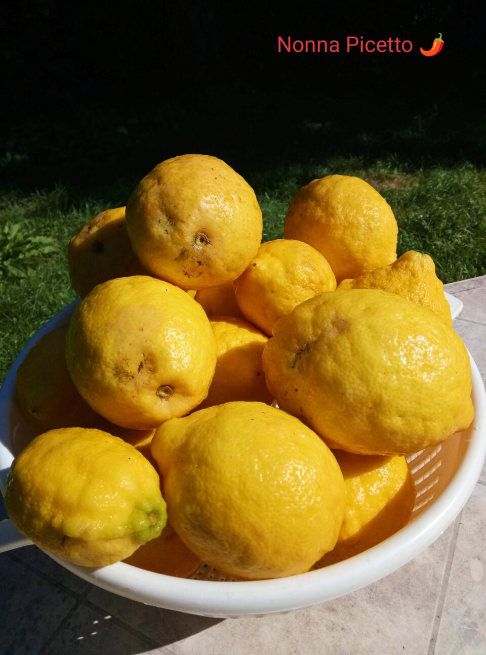 Limoni biologici per marmellata di limoni con la ricetta della nonna