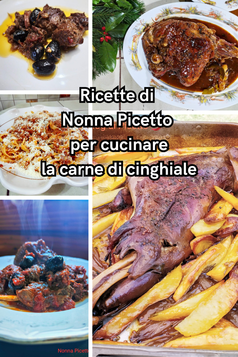 Ricette di Nonna Picetto per cucinare la carne di cinghiale