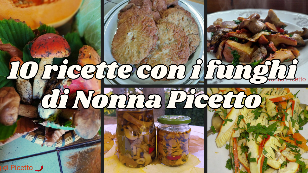 10 ricette con i funghi di Nonna Picetto facili e veloci